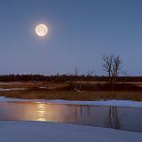 Winter Moonset_05004-6